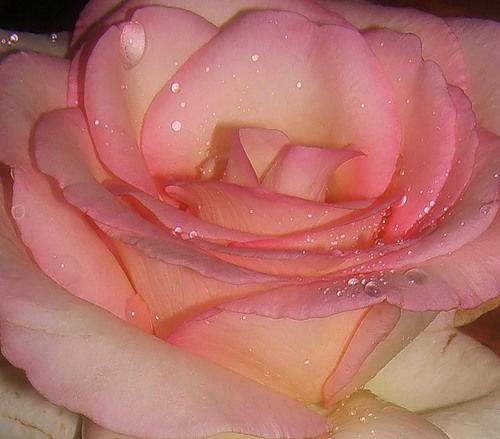 Евгения .....