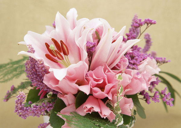 Оксана Пита