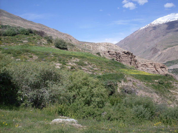 Масрур Сижотхонов