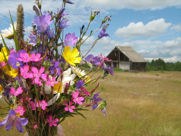 Ирина Журавлева