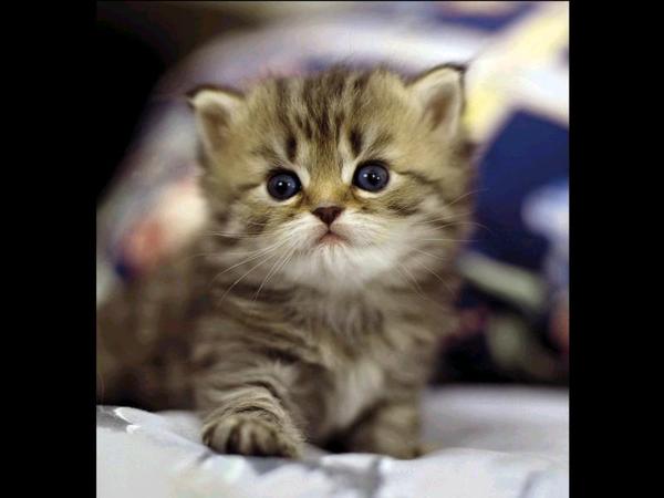 Татьяна Буга