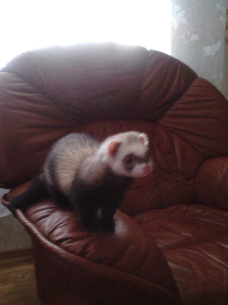 Мария Ряховская