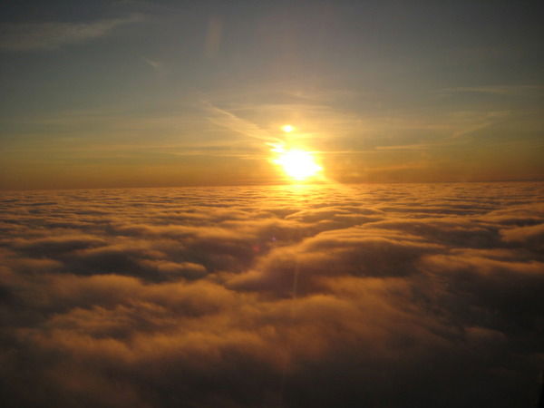 Елена Понькина