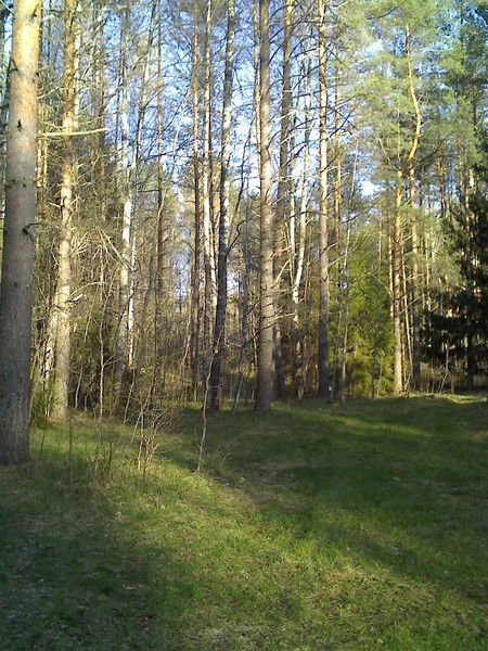 Ольга Кудрявцева