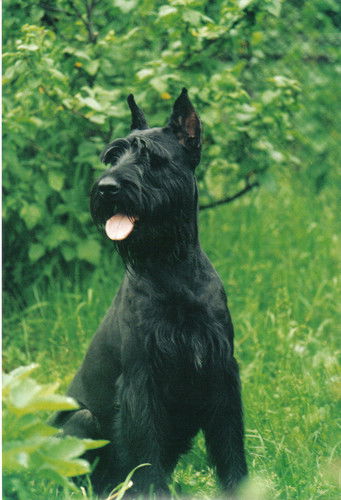 Анастасия Мыльникова