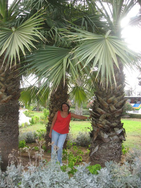 Елена Александрова