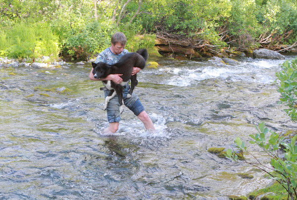 Андрей Прибытков