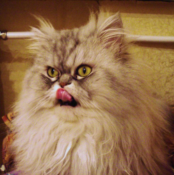 Владимир Оплетаев