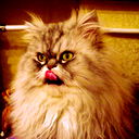 Владимир Оплетаев