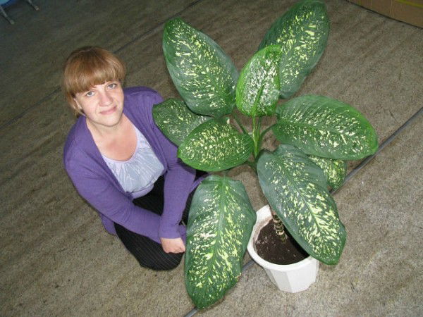 Вероника Новикова