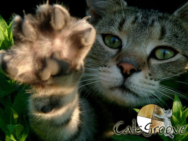 Марина Тимкина