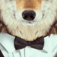 Карина Абдулина