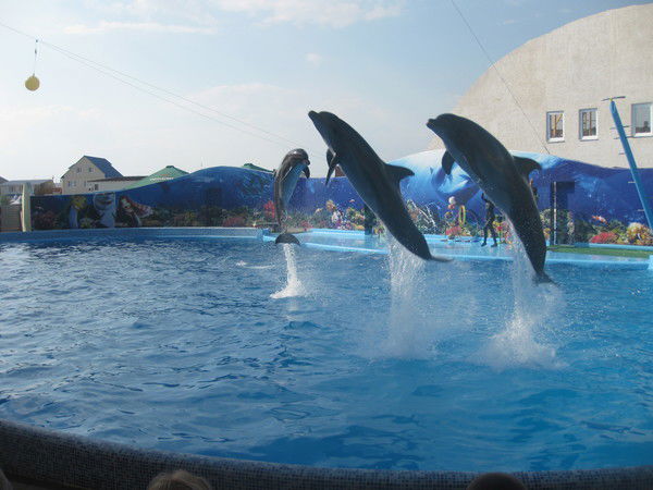 Андрей Иванов