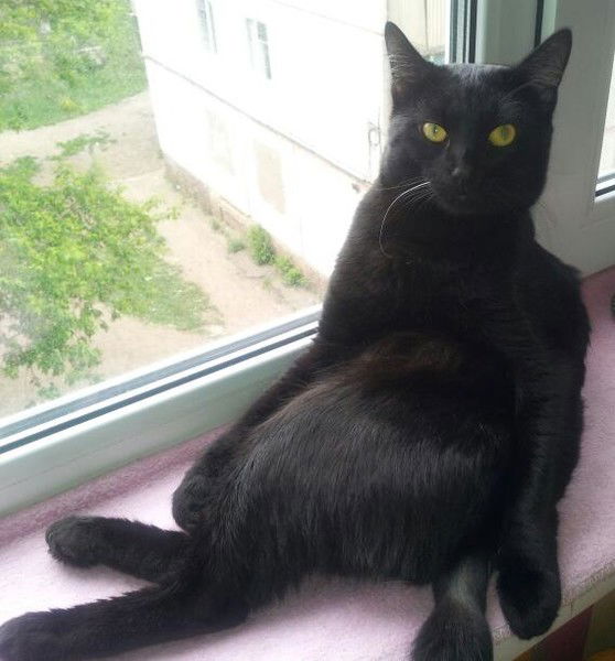 Валентина Нетескина