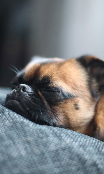 Юлия Тимофеева