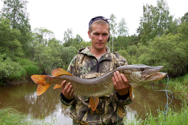 Евгений Шароватов