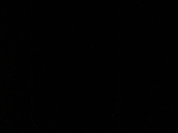 Анна Теплинская