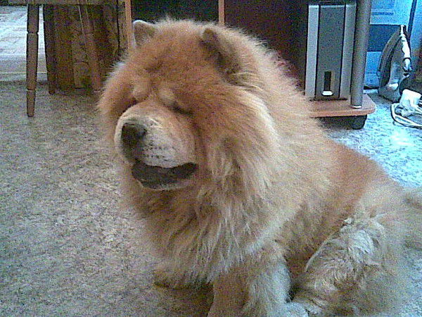 Алексей Засорин