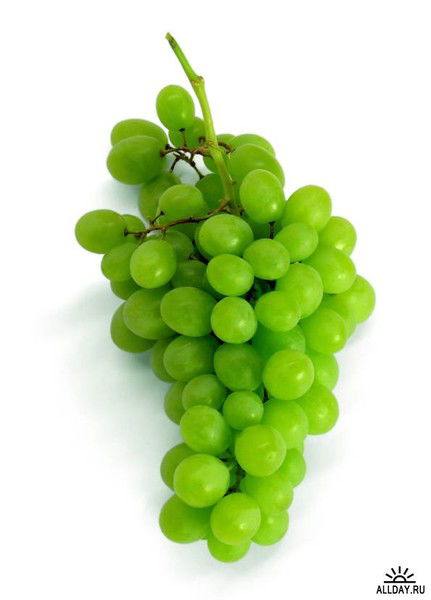 Шамашов Алексей