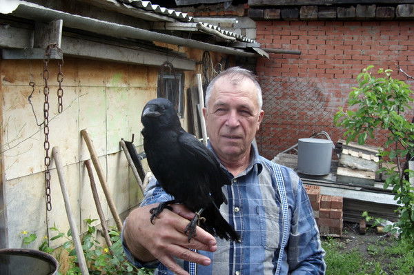 Виктор Халипа