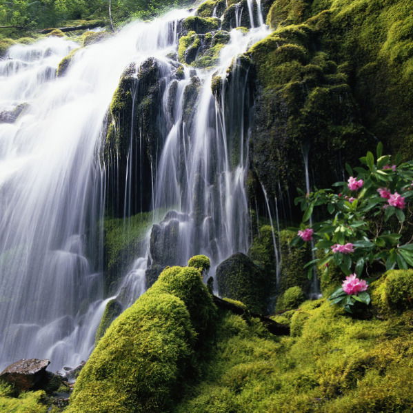 Кизларгул Реджепова