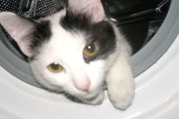 Путник Нехоженых Троп