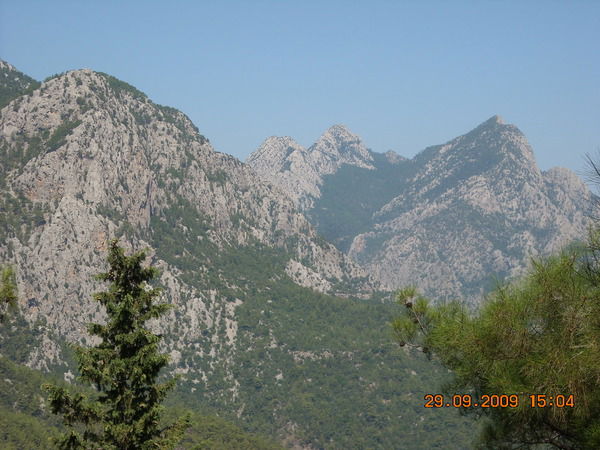 Елена Мальцева