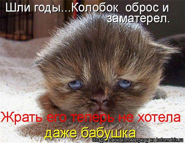 Ольга Чигир