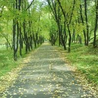 Виктория Леус