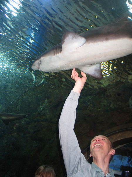 Алексей А717Се13