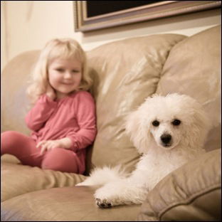 Роксана Дем