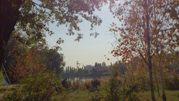 Евгений Наумов