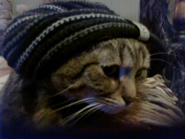 Наталия Доманова