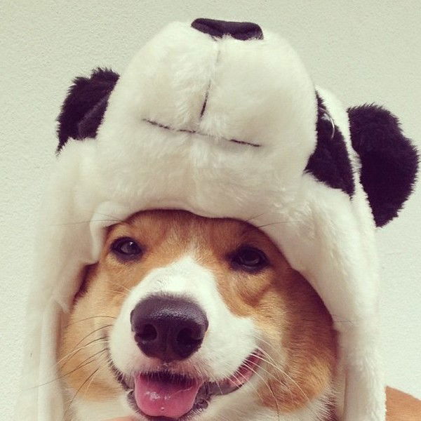 Эмилия Сунагатуллина