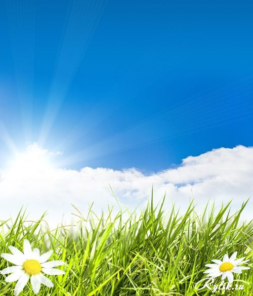 Елена Загородникова