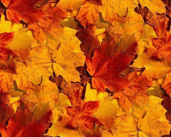 Наталия @наталия