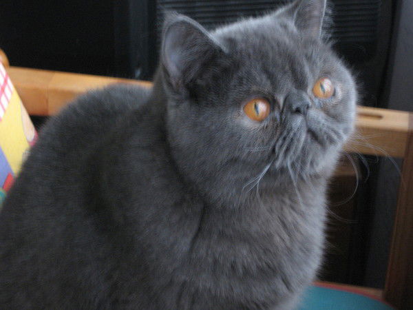 Екатерина Катеринка