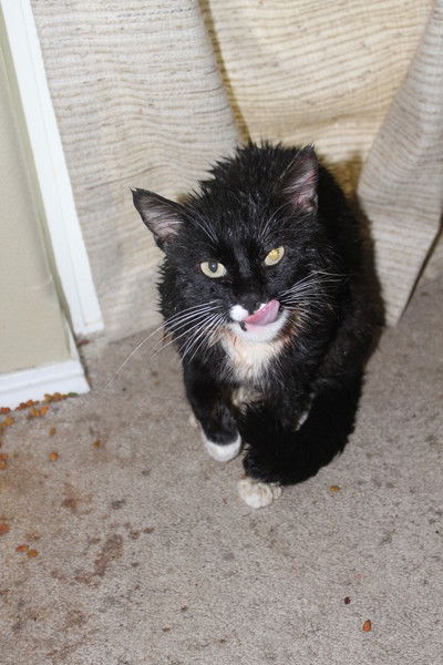 Толик Татур