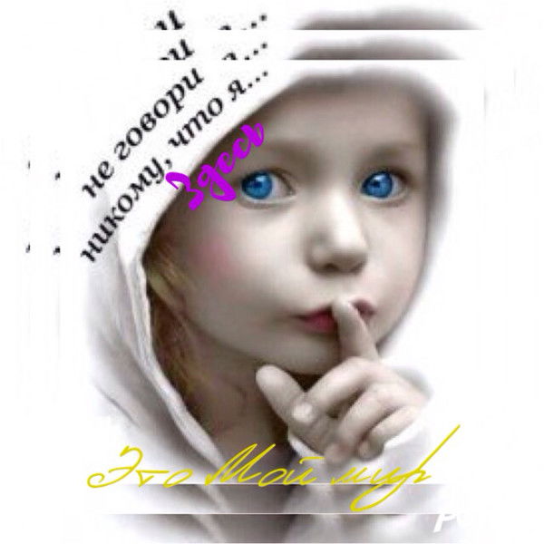 Александр Волков