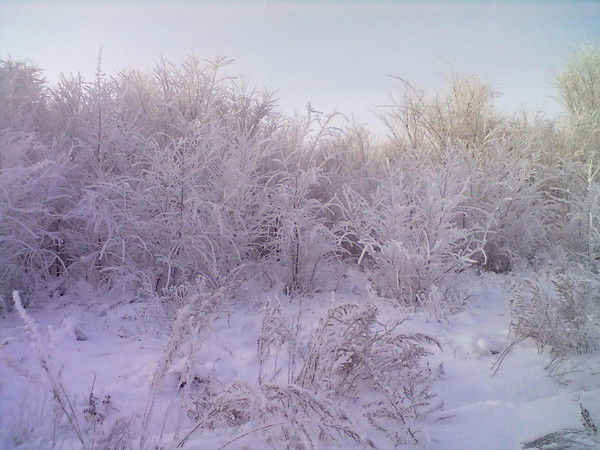 Ирина Полякова