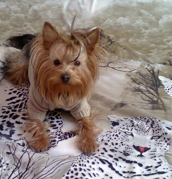 Люда Ивашинникова