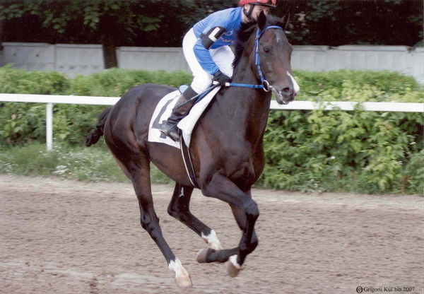 Дарья Цыганова