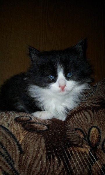 Дмитрий Макаров