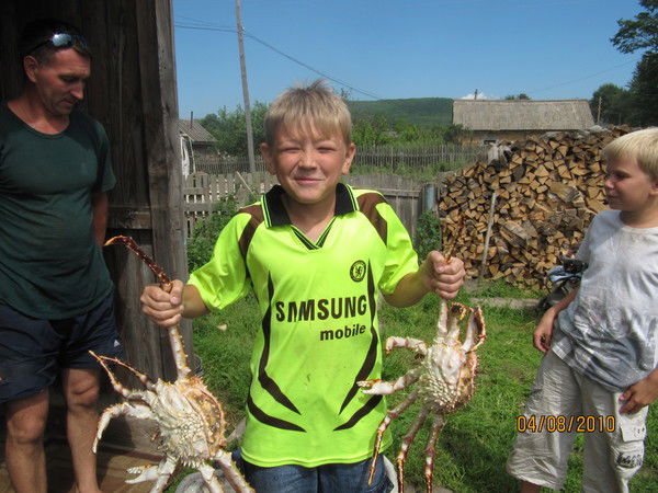 Михаил Кошкарев