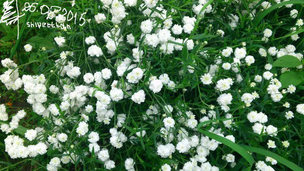 Татьяна Щипец