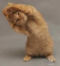 Андрей Михайлов