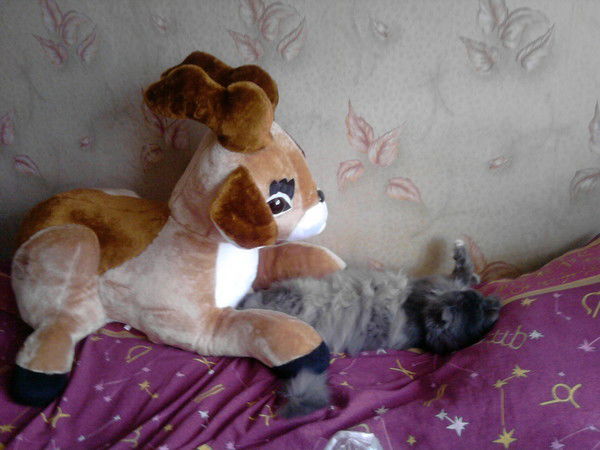 Екатерина Папаева