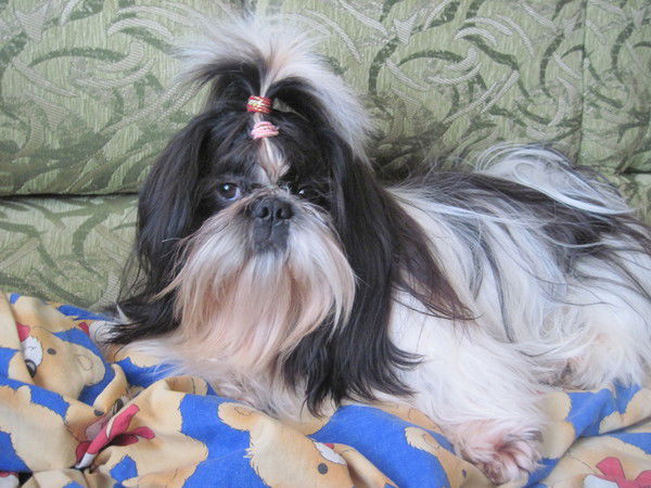 Елена Чернева(Бураева)