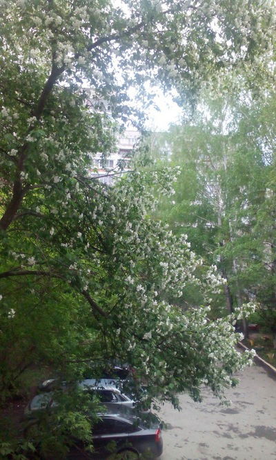 Бактыкан Таштаналыева