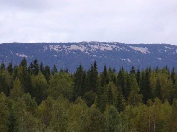 Нинель Давлетчина